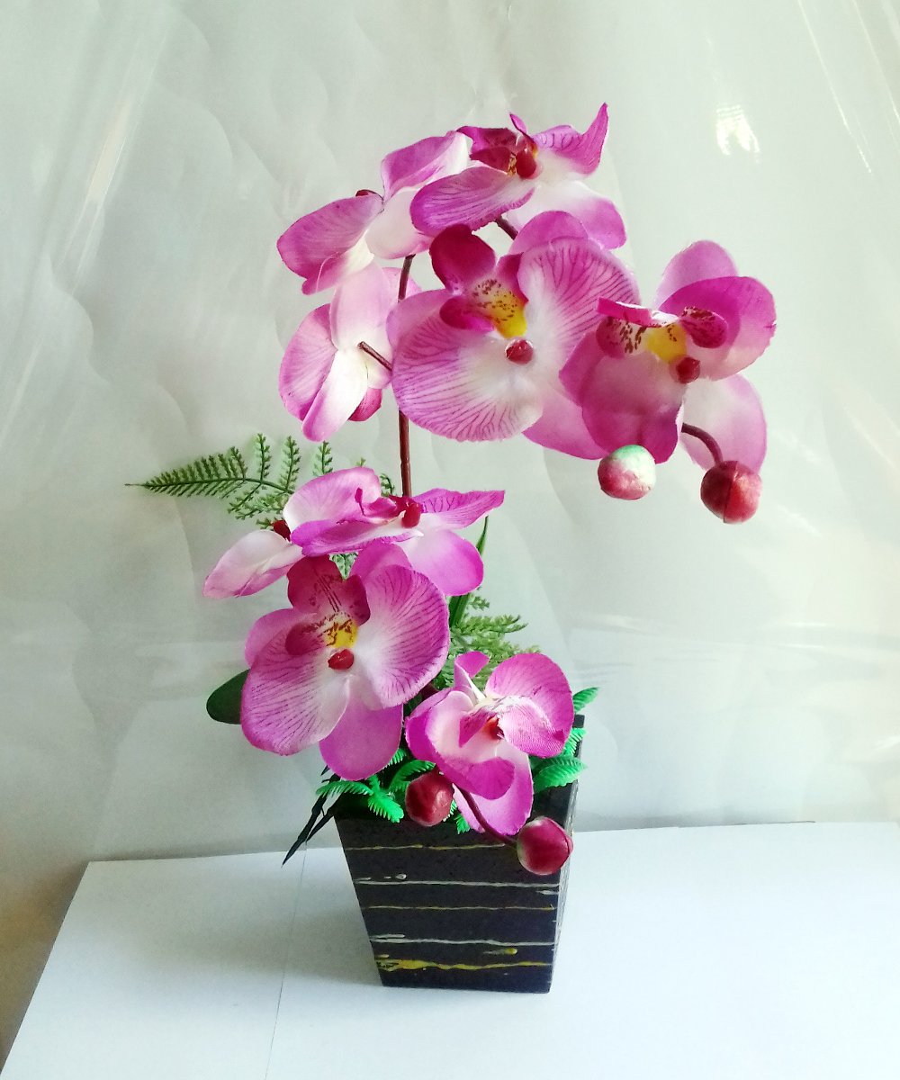 Chậu lan hồ điệp pha lê đá để bàn sang trọng